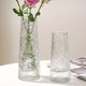 姝好 两件套创意简约水培玻璃花瓶透明网红鲜花绿植插花瓶桌面客厅装饰