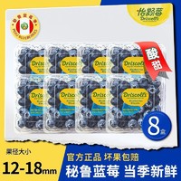 DRISCOLL'S/怡颗莓 怡颗莓进口秘鲁蓝莓中果125g*8盒当季新鲜鲜果蓝莓果径12-18mm