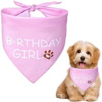 DOG Helios Dog Birthday Bandana 宠物狗服饰