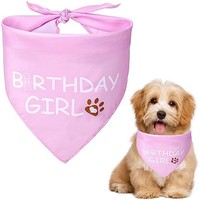 DOG Helios Dog Birthday Bandana 宠物狗服饰