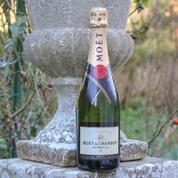 MOET & CHANDON 酩悦 皇室干型特级香槟法国原瓶进口保税直发750ml