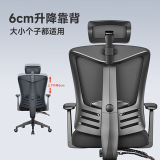 电脑椅人体工学椅 209（多维腰靠+固定扶手）