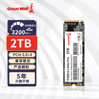 Great Wall 长城 2TB SSD固态硬盘 M.2接口(NVMe协议 PCle 3.0) P300系列 读速最高可达3200MB/s