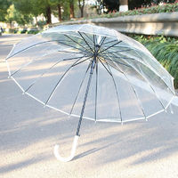 阳丞 透明雨伞长柄   23寸16骨-平板