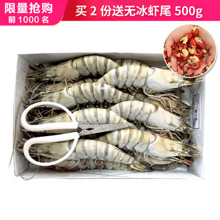 Mr.Seafood 京鲜生 黑虎虾大号 15只/盒 1000g（赠无冰虾尾500g）