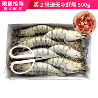 Mr.Seafood 京鲜生 黑虎虾大号高品质海鲜大虾生鲜虾类 15只/盒 净虾800g（赠送500g无冰小龙虾）