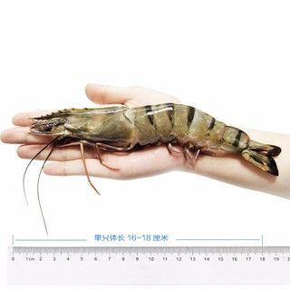 Mr.Seafood 京鲜生 黑虎虾大号高品质海鲜大虾生鲜虾类 15只/盒 净虾800g（赠送500g无冰小龙虾）