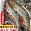 渔和苑 青岛大虾冰虾冻虾生鲜 虾类 海鲜 青岛大白虾4斤 净重2.8-3斤30-40