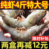 冰鲜部族 青岛大虾虾子鲜活新鲜海鲜3斤 基围虾水产冻虾