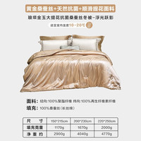 罗莱生活 LUOLAI 家纺 被子被芯100%桑蚕丝被被芯双人 冬被【黄金桑蚕丝+天然抗菌】 200*230cm