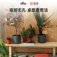 ELHO HONGYUE 虹越 荷兰进口elho 北欧简约风格现代个性创意塑料花盆家用套盆自吸水
