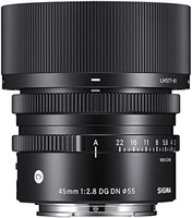 SIGMA 适马 单反相机镜头 7组8片 45mm 适用于索尼E卡口 自动对焦 黑色