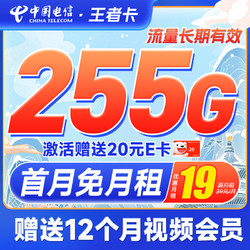 CHINA TELECOM 中国电信 王者卡 19月租（255G全国高速流量+送12个月B站大会员）激活赠20元E卡