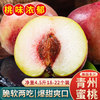 京果甜山东青州蜜桃冬桃脆甜毛桃子水果18-22个净重2.25kg装 单果约100g