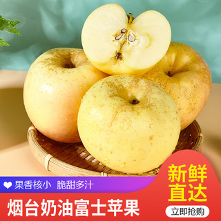 古寨山 山东烟台奶油红富士苹果新鲜水果新鲜脆甜果径 单果180g 5斤中果带箱