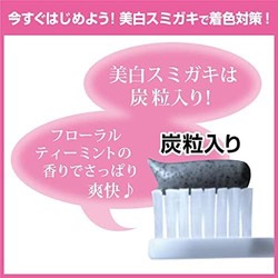 KOBAYASHI 小林制藥 美白炭牙膏90g(碳粒子成分清除牙漬 牙垢 口臭及蟲牙)(進口)