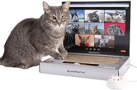 ScratchPad Pro — 纸板笔记本电脑猫抓板