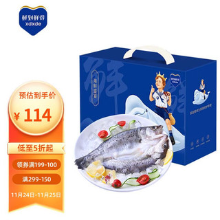 鲜到鲜得 冷冻三去白蕉海鲈鱼1.8kg（4条装) 海鱼 生鲜鱼类 年货 海鲜礼盒