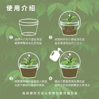 花彩师 家庭装营养土盆栽植物通用介质大包装28L