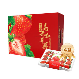 勿语 大凉山露天阳光种植红颜奶油草莓  草莓礼盒新鲜水果产地直发 4盒中大果礼盒装（单果12克+）