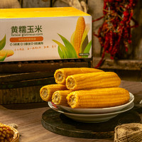 jianbula 碱不落 东北黄糯玉米2200g/箱 10支装 早餐玉米棒香玉米