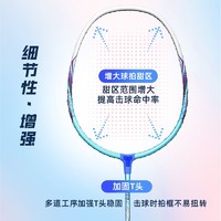 PEAK 匹克 旗舰店官方正品 羽毛球拍专业级单双拍超轻全碳素纤维耐打套装