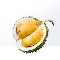 DURIAN POWER 榴力量 马来西亚D200黑刺液氮冷冻榴莲新鲜水果顺丰果肉黄金树上