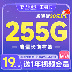 CHINA TELECOM 中国电信 王者卡 19元月租（255G全国流量+送12个月B站大会员）激活赠20元E卡