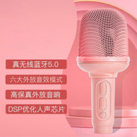 PHILIPS 飞利浦 DLM3016话筒音响一体麦克风全民k歌无线唱歌麦克风