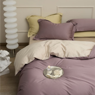 AIDLI 100支全棉贡缎新疆长绒棉双拼纯棉四件套 200*230cm