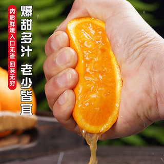 鲜福林 新鲜冰糖橙新鲜橙子水果当季整箱果冻甜橙手剥橙整箱 精选5斤装（60-65mm）