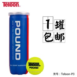 Teloon 天龙 比赛网球pound罐装耐打训练球 Teloon-P3 1罐