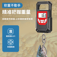 睿智 精准迷你手提电子秤高精度小型便携式弹簧秤鱼器钩称家用随身挂秤
