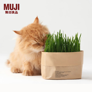 MUJI 無印良品 无印良品（MUJI）宠物用品 猫草栽培套装  PAH3CC3S