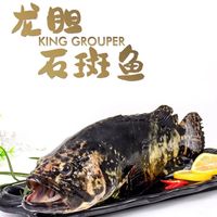 蟹锦记海捕石斑鱼龙胆鱼当天捕捞速冻新鲜珍珠斑海鲜水产深海捕鱼生猛鱼 龙胆石斑鱼1-1.7斤/条 4斤装