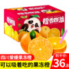 四川爱媛38号果冻橙 冰糖橙桔橘子时令新鲜当季水果生鲜整箱礼盒 尝鲜-5斤