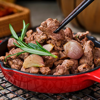 草原宏宝 内蒙古羊里脊 500g/袋 谷饲羊肉 烧烤食材