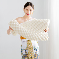 多兰诗 磁石枕芯定型枕一对装40*60cm