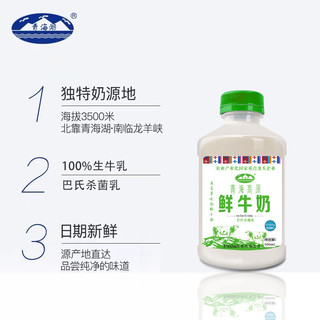 青海湖 青海高原鲜牛奶500ml*4瓶 鲜奶 低温奶 巴氏杀菌牛奶 100%生牛乳