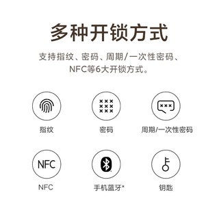 Xiaomi 小米 智能门锁 E20WIFI版