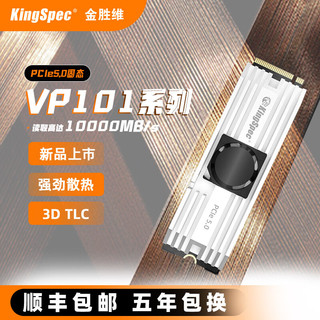 KingSpec 金胜维 1000GB 固态硬盘NVMe M.2接口 2280 PCIe5.0 VP101系列