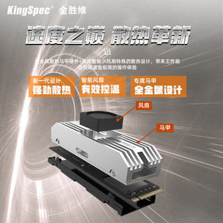 KingSpec 金胜维 1000GB 固态硬盘NVMe M.2接口 2280 PCIe5.0 VP101系列