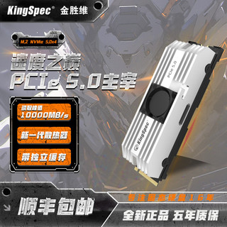 KingSpec 金胜维 1000GB 固态硬盘NVMe M.2接口 2280 PCIe5.0 VP101系列