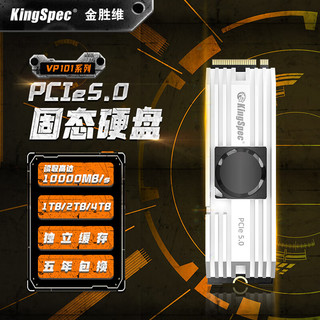 KingSpec 金胜维 1000GB 固态硬盘NVMe M.2接口 2280 PCIe5.0 VP101系列