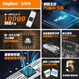 KingSpec 金胜维 1000GB 固态硬盘NVMe M.2接口 2280 PCIe5.0 VP101系列