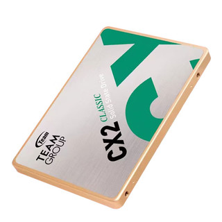 Team 十铨 SSD固态硬盘 GX2 128G