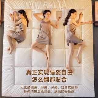 YALU 雅鹿 V/雅鹿酒店床垫软垫家用垫褥单人褥子床褥垫被铺加厚租房垫子