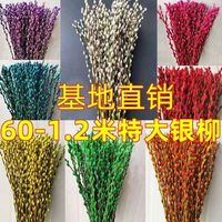 云柊 银柳真花鲜枝年宵花卉红色干花福桶银柳水培植物鲜花客厅室内装饰