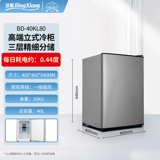 BingXiong 冰熊 立式冰柜家用小型冷冻速冻母乳储存商用抽屉式小冷柜节能省电冰箱 40L星空银