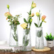 Kerr 浮雕玻璃花瓶ins风北欧透明水养富贵竹客厅桌面鲜花干花插花摆件
